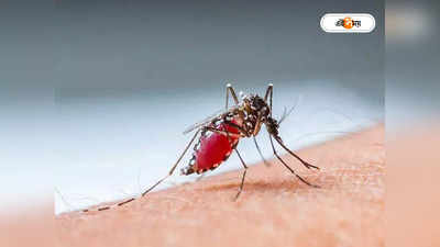 Dengue in West Bengal : পুজোর আগে চিন্তা বাড়াচ্ছে ডেঙ্গি? দক্ষিণ দমদমে কিশোরী সহ মৃত ২