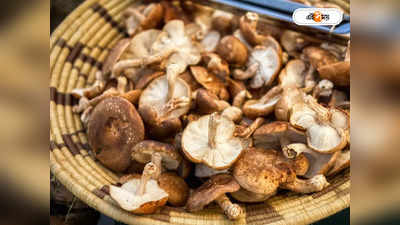 Mushroom Farming : মাশরুম চাষ করে গৃহবধূদের আয়ের পথ দেখাচ্ছেন সুশীলা