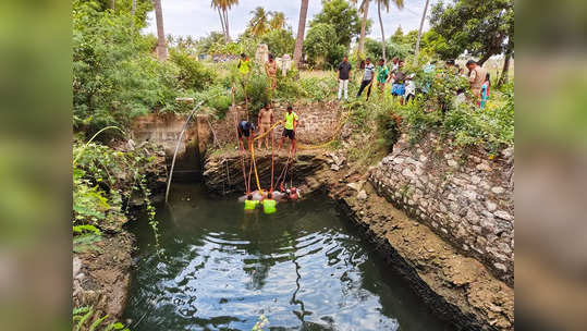 கரூர் அருகே கிணற்றில் தவறி விழுந்த மாடு... கிரேன் உதவியுடன் உயிருடன் மீட்பு