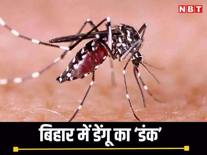 Dengue