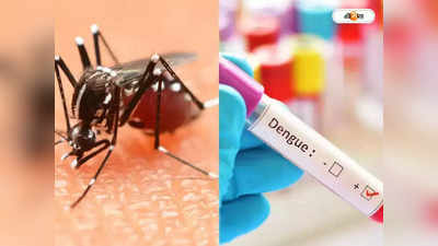 Dengue In Kolkata : ১২ এলাকা থেকেই ডেঙ্গি আক্রান্ত ৬৮%, চিন্তা বাড়ছে কলকাতায়