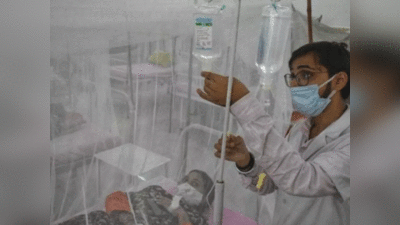 गाजियाबाद में तेजी से फैल रहा डेंगू, 35 साल की महिला की मौत से मोहल्‍ले में दहशत
