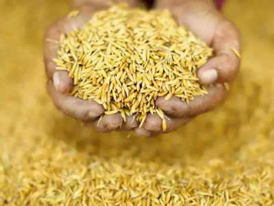 FCI ने ई-नीलामी के जरिए बेचे 1.66 लाख टन गेंहू, 17000 टन चावल