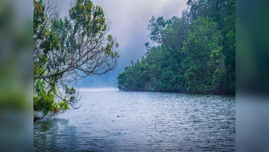 கொடைக்கானல்  பேரிஜம் ஏரிக்கு போயிராதீங்க... யானை நடமாட்டம் இருக்கு!