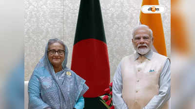PM Modi Sheikh Hasina Meet : নিত্যপ্রয়োজনীয় দ্রব্যের সরবরাহ নিশ্চিত করুন, মোদীকে অনুরোধ হাসিনার