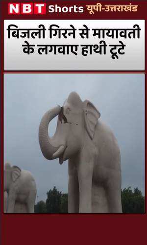nbt/uttar-pradesh/lucknow/ambedkar-park-elephant-statue-broken-due-to-lightning