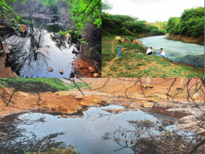 अरावली में बहने लगी बंधवारी लैंडफिल कचरे से निकल रहे काले पानी की नदी, जंगली जानवरों और पेड़ों को खतरा