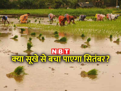 कम मॉनसूनी बारिश से बिगड़ा खेती-बाड़ी का हाल, क्‍या भारत को सूखे की स्थिति से बचा पाएगा सितंबर?
