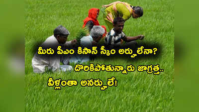 PM Kisan: పీఎం కిసాన్ స్కీంకు 81 వేల మంది రైతులు అనర్హులు.. మరి మీరు అర్హులేనా? ఇలా చెక్ చేసుకోండి..