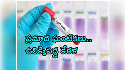 దేశంలో మరోసారి ప్రమాదకర నిపా వైరస్ కలకలం.. కేరళలో ఇద్దరు మృతి