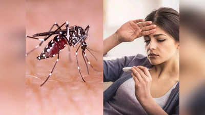 नोएडा में डेंगू का खतरनाक डेन-2 स्ट्रेन एक्टिव, प्लेटलेट्स की कमी के साथ बहने लगता है खून