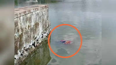 मासुंदा तलावात वयोवृद्ध महिलेचा मृतदेह; परिसरात एकच खळबळ, आत्महत्या की घातपात?