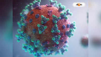 Nipah Virus : অজানা জ্বরে মৃত ২, নিপা ভাইরাসের আতঙ্ক কেরালায়