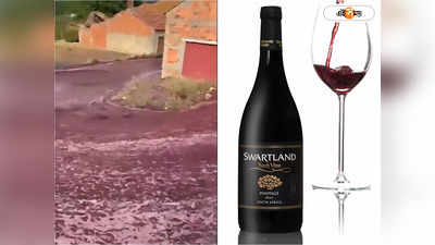 Red Wine: সুরার নদীতে ভাসছে শহর! দেখুন ভিডিয়ো