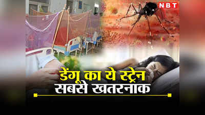दिल्ली-एनसीआर में डरा रहा है डेंगू का डेन-2 स्ट्रेन, डॉक्टरों ने बताया किसको अधिक खतरा