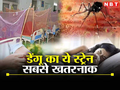 दिल्ली-एनसीआर में डरा रहा है डेंगू का डेन-2 स्ट्रेन, डॉक्टरों ने बताया किसको अधिक खतरा