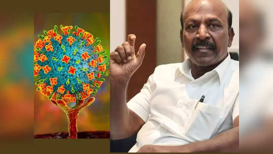 நிஃபா வைரஸ் பாதிப்பு: தமிழ்நாட்டின் நிலை எப்படி இருக்கிறது? மா.சுப்பிரமணியன் கொடுத்த அப்டேட்!