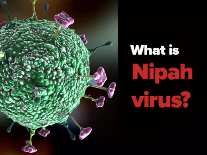 nipah virus