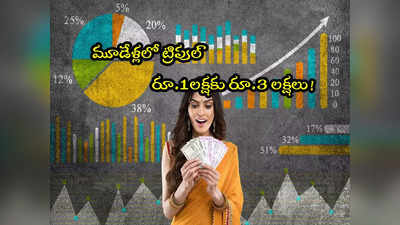 Multibagger: ఈ స్టాక్‌తో డబ్బులే డబ్బులు.. లక్ష పెడితే రూ. 3 లక్షలు.. మూడేళ్లలో ట్రిపుల్ ప్రాఫిట్! 