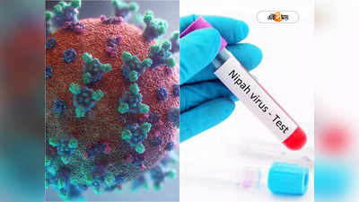 Nipah Virus Symptoms : জ্বর-গা বমি! ভারতের নয়া আতঙ্ক ‘ঘাতক’ নিপা ভাইরাসের উপসর্গগুলি কী?