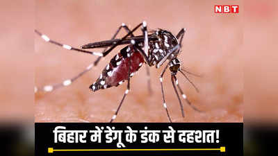 बिहार में डेंगू की रफ्तार से हाहाकार, मरीजों की संख्या 1100 के पार, एक्शन में आया स्वास्थ्य विभाग