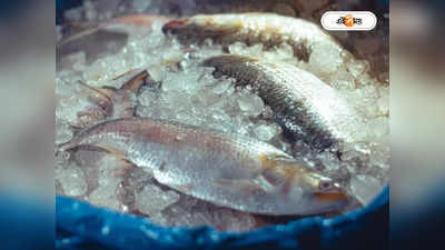Hilsa Fish News : বাজার ভরে গিয়েছে নকল ইলিশে! কী ভাবে চিনবেন আসলটি? টিপস মৎস্যবিজ্ঞানীর