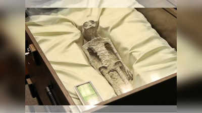मेक्सिकोच्या संसदेत एलियनची बॉडी; रहस्यमय अवशेष १००० वर्षे जुने; पाहून अख्खं जग विस्मयचकित