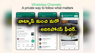 WhatsApp: వాట్సాప్ నుంచి మరో అదిరిపోయే ఫీచర్.. ఛానెల్స్ వచ్చేసింది.. మీరు అప్‌డేట్ చేసుకున్నారా?