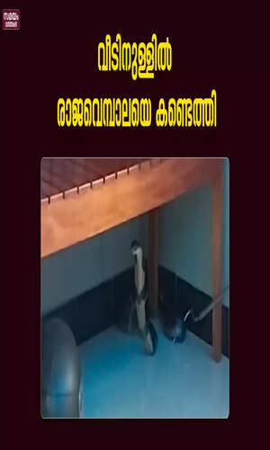 samayam/kerala-videos/malappuram/king-cobra-caught-from-house-in-malappuram-watch-video