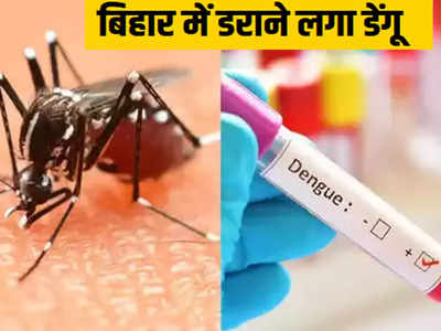 बिहार में डेंगू से पहली मौत, 1300 के पार पहुंचे मामले तो मचा हड़कंप, सरकार ने की हाई प्रोफाइल बैठक