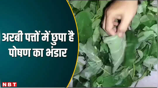 अरबी पत्तों में छुपा है पोषण का भंडार, डायबिटीज समेत कई बीमारियों में फायदेमंद