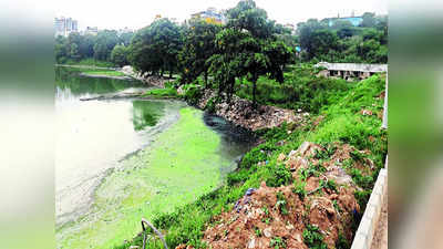 Bengaluru Lakes: ರಾಜಧಾನಿಯಲ್ಲಿನ  174 ಕೆರೆಗಳ ನಿರ್ವಹಣೆಗೆ ಬಿಬಿಎಂಪಿ 33 ಕೋಟಿ ರೂ. ವೆಚ್ಚ!