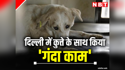 शर्मनाक! दिल्ली में शख्स ने कुत्ते के साथ किया घिनौना काम, सोशल मीडिया पर आया वीडियो