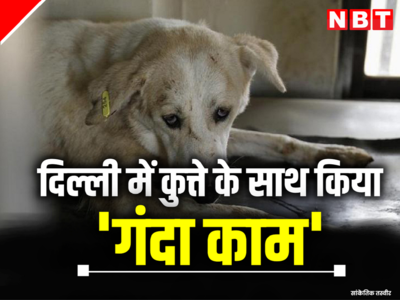 शर्मनाक! दिल्ली में शख्स ने कुत्ते के साथ किया घिनौना काम, सोशल मीडिया पर आया वीडियो