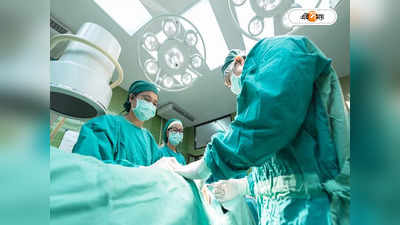 Kidney Transplant: মানব দেহে শূকরের কিডনি! চিকিৎসায় নয়া দিশা মার্কিন গবেষকদের
