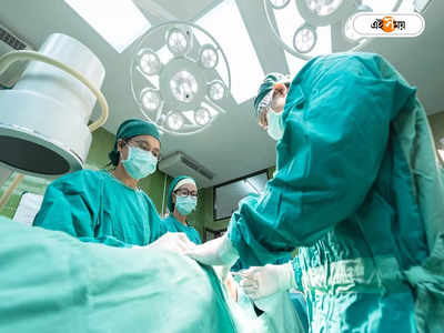 Kidney Transplant: মানব দেহে শূকরের কিডনি! চিকিৎসায় নয়া দিশা মার্কিন গবেষকদের