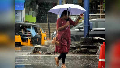 Maharashtra Weather Forecast: राज्यात सरासरीहून नऊ टक्के कमी पाऊस, सर्वाधिक तुटीचे जिल्हे? जाणून घ्या...