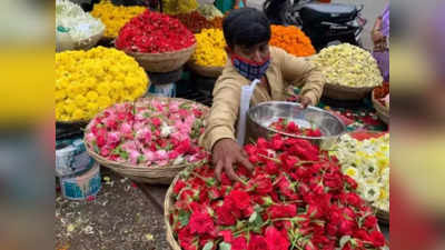 गणेशोत्सवात फुलांचा तोरा वाढला! जास्वंद २५ रुपयांवर तर गुलाबाचा दर...; जाणून घ्या