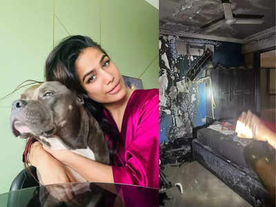 पूनम पांडे के मुंबई वाले घर में लगी आग, नौकरानी ने बचाई कुत्ते की जान, सामने आई अंदर की तस्वीरें और वीडियो