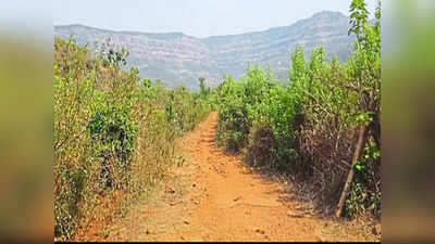 पश्चिम महाराष्ट्र-कोकण अंतर होणार कमी, कोल्हापूर-रत्नागिरीला जोडणाऱ्या काजिर्डा घाटाची महत्त्वाची अपडेट