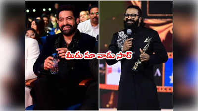 SIIMA Awards 2023: ఎన్టీఆర్ ఆంధ్రావాలా కాదు కన్నడ బిడ్డ.. కాంతార హీరో కామెంట్స్