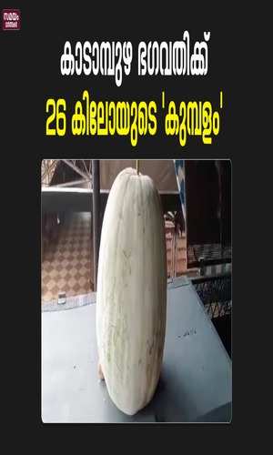 samayam/kerala-videos/malappuram/big-giant-gourd-in-kadambuzha-bhagavathi-temple