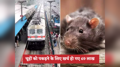 रेलवे ने चूहों को पकड़ने के लिए 3 साल में खर्च कर दिए 69 लाख रुपये, 1 चूहे पर खर्च हुए 41 हजार... RTI  में खुलासा