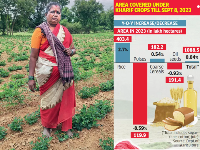 कर्नाटक : चिकबल्लापुरा में 33% ही बारिश, सूखे के हालात