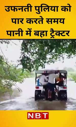 nbt/madhya-pradesh/chhindwara/khandwa-news-tractor-washed-into-water-while-crossing-culvert