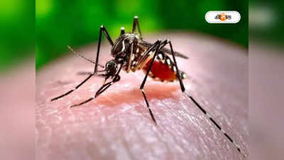Dengue In West Bengal : ৭ জেলায় লাফিয়ে বাড়ছে ডেঙ্গি, রোগীদের একগুচ্ছ পরামর্শ স্বাস্থ্যকর্তাদের