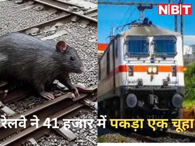 41 हजार में रेलवे ने पकड़ा 1 चूहा... MP के इस शख्‍स ने RTI से निकाली बड़ी जानकारी