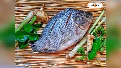 Tilapia Fish: তেলাপিয়া মাছে লুকিয়ে মারাত্মক বিপদ! খাওয়ার পরই চার হাত-পা কেটে বাদ মহিলার!