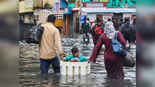 தமிழ்நாட்டில் வடகிழக்கு பருவமழை எப்படி இருக்கும்? வெளியான முக்கிய கணிப்பு!