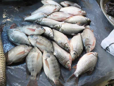 Tilapia Fish: ಅರೆಬರೆ ಬೆಂದ ಮೀನು ಸೇವನೆ: ಎಲ್ಲಾ ಕೈಕಾಲುಗಳನ್ನು ಕಳೆದುಕೊಂಡ ಅಮೆರಿಕ ಮಹಿಳೆ